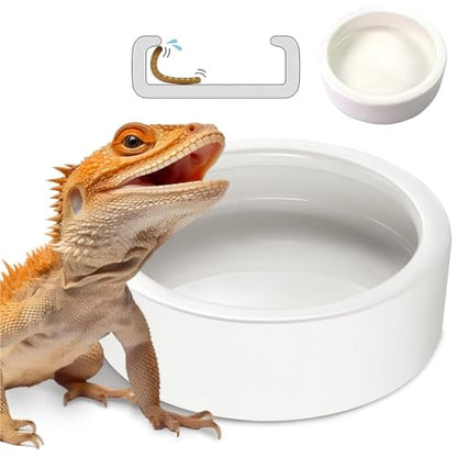 Ceramic Reptile Feeding Bowl Anti-Escape Worm Dish Lizard Gecko Bearded Dragon Food Water Bowl Terrarium Habitat Decor - size: Large