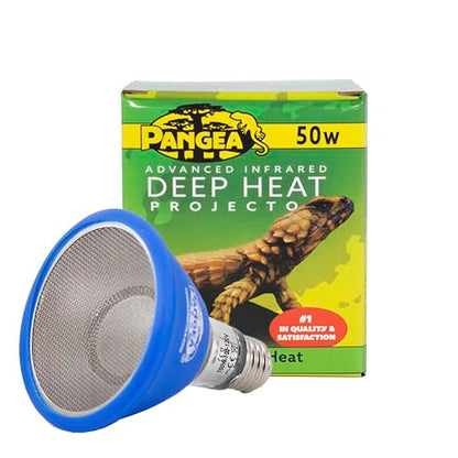 Pangea 50W Deep Heat Projector for Reptiles with Carbon Fiber Filament, Core Warming Infrared A and B Bulb for Basking Lizards, Designed for Ceramic Sockets (50 Watt)