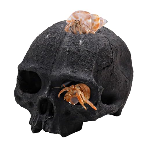 Oooct Resin Skull Sculpture, Black, Reptile Hideout for Fish, Bearded Dragon, Ball Python, Leopard Gecko, 4.7 x 3.5 x 3.7 Inch - color: Black, size: Simulated Human Skull