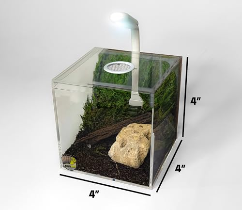 BugzyBugs 4″ Ventilated Acrylic Vivarium Terrarium Enclosure Clear Cubic Bug Habitat for Spiders, Isopods, Insects, Reptiles - color: White