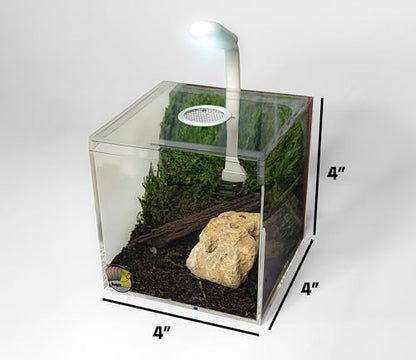 BugzyBugs 4″ Ventilated Acrylic Vivarium Terrarium Enclosure Clear Cubic Bug Habitat for Spiders, Isopods, Insects, Reptiles - color: White