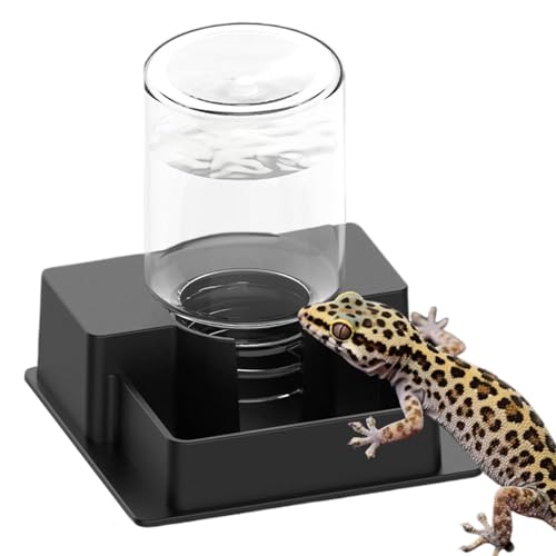 Bearded Dragon Water Bowl | Wide-Mouth Leak-Proof - Automatic Waterer for Gecko | for Home Indoor Garden Yard Backyard Gecko Snake Lizard - color: Black, size: M