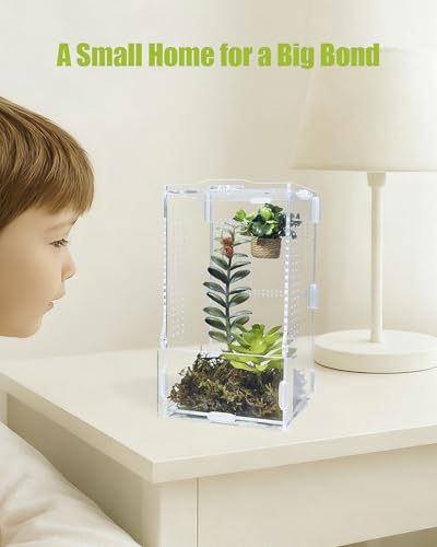 Jumping Spider Enclosure, Transparent Arboreal Tarantula Habitat, Praying Mantis Terrarium Critter Cage for Jumping Spider, Tarantula Slings, Mantis, Snail, Isopods, Beetles, Millipedes - size: Small