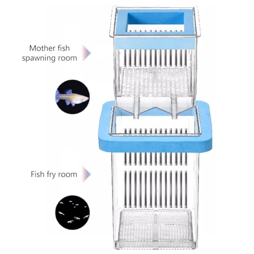 La La Pet® Floating Fish Breeding Box with Lid Parent Fish and Baby Fishes Aquarium Divider Hatching Box with Adjustable Floating Ring Transparent Incubator