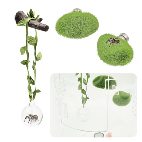 Jumping Spider Enclosure Accessories, 1 Glass Ball Habitat Hide with Green Rope and Artificial Tree Branch 2 Green Platform, Jumping Spider Enclosure Decor