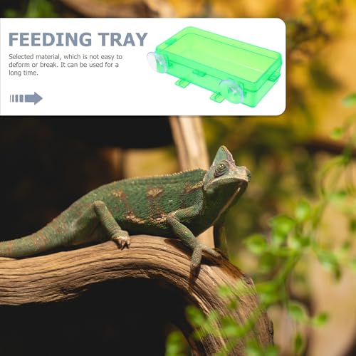DOITOOL 2pcs Anti-Escape Reptile Feeding Bowls with Suction Cups, Small Green Reusable Water and Food Basin for Lizards, Geckos, Bearded Dragons, Multi-Function Terrarium Feeder