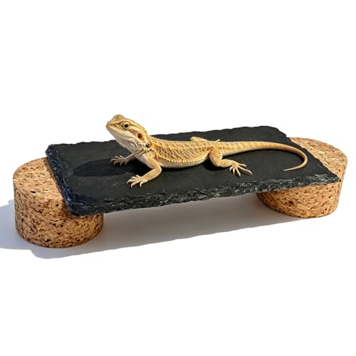 Bearded Dragon Basking Rock Platform,Reptile Basking Slate Rock with Wooden Stump,Leopard Gecko Hides and Caves Tank Accessories for Lizards,Snakes,Turtle,Ball Pythons