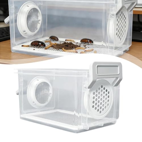 Breeding Box, Reptile Feeding Box, Transparent Terrarium, Habitat, Animal Holder for Raising Mealworms, Style A - color: style A