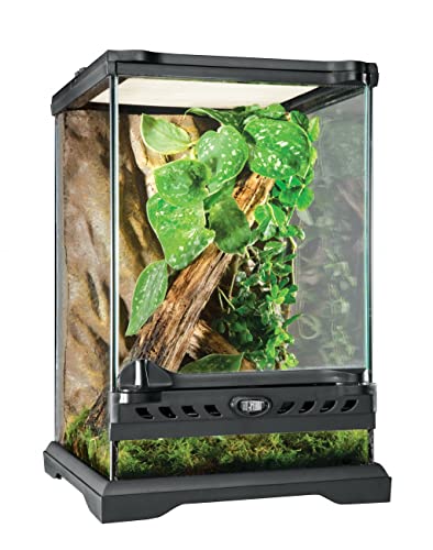 Exo Terra Glass Nano Terrarium Kit for Reptiles and Amphibians, Nano Tall - 8 x 8 x 12 Inches - size: 8 x 8 x 12 Inches