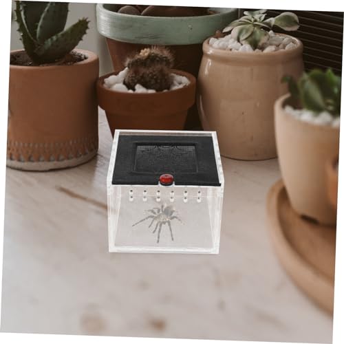 Kisangel Acrylic Reptile Feeding Box Escape Magnet Door Breeding Case for Lizards Geckos and Insects Habitat for Reptiles and Pets