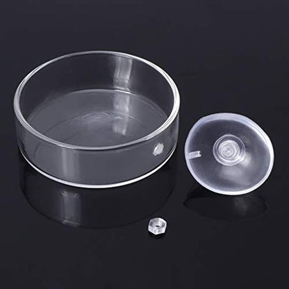 Shrimp Feeder Glass Feeding Dish Aquarium Fish For Tank Reptiles Round Clear Food Bowl With Suction Cups 2.4x0.7 Inch Shrimp Feeding Dish Shrimp Feeding Dish And Tube Shrimp Feeding Dish With Suction