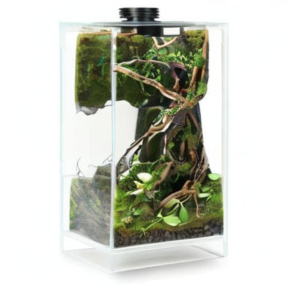 Desktop Glass Plant Terrarium with Grow Light(L7.8 W7.8 H14), for Succulent, Moss, Miniature Gardening Landscape, Betta Fish Tank, Indoor Plant Growth, Office Home Decoration (TimeControlled)