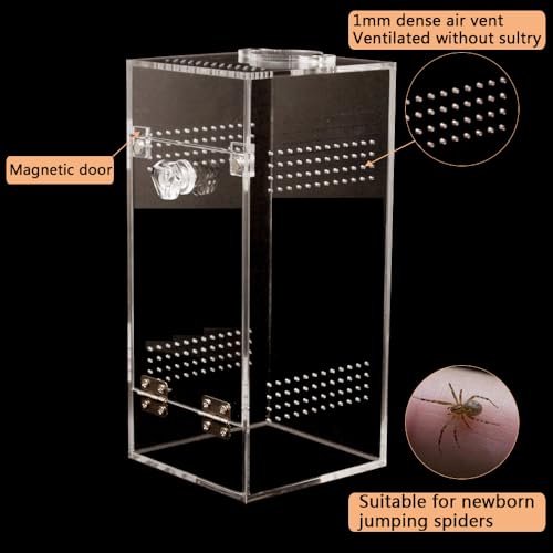 Jumping Spider & Tarantula Enclosure, Snail & Praying Mantis Habitat, Insect & Small Reptile Terrarium (6.8x3.1x3.1inch)