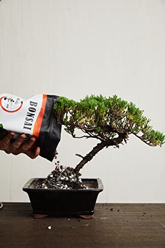 Bonsai Soil by The Bonsai Supply – 4qts. Professional Bonsai Soil Mix | Ready to use| Great for All Bonsai Tree Varieties. - size: 4 Quarts Professional Mix