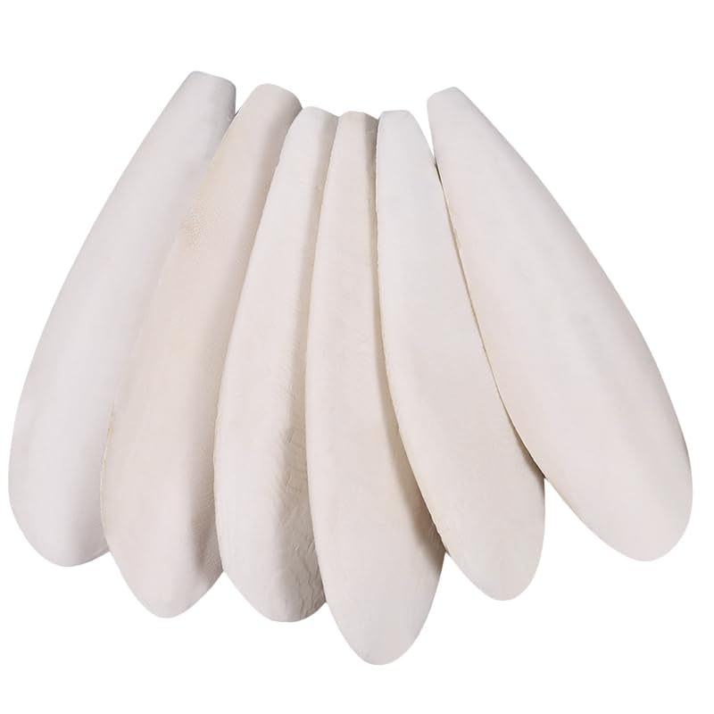 6 Pcs Natural Cuttlebone for Birds Parakeets Pure Cuttlebone Calcium Stone for Parakeets Canaries Cockatiels Tortoise Turtles Cockatiel 11-11.5cm /4.3-4.5”