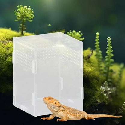 Reptile Breeding Box Terrarium Clear Animal Habitat Cage with Ventilation Holes for Geckos Frogs Hermit Crabs- 8x7x10cm - size: 8x7x10cm