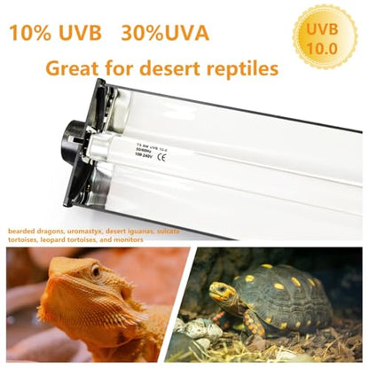 Leoterra T5 8W 10.0 UVB Reptile Light Fixture and Bulb Kit, High Output UVB/UVA Lighting System Linkable Design,Multiple Mounting Options for Bearded Dragons, Tortoises, Uromastyx - Plug and Play