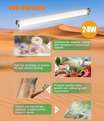 T5 Reptile Light Fixture Combo Kit 24W Light Fixture Reptile Terrarium Hood 10.0 UVB Light Bulb Fluorescent Tube for Tropical and Deserts Such as Bearded Dragon Lizards and Tortoises - size: 24W T5 Suite