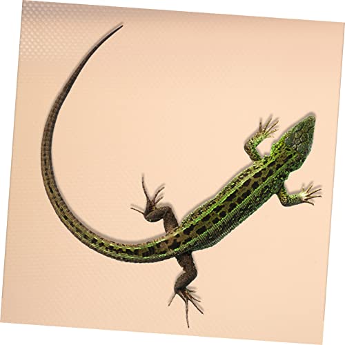 YARNOW Reptile Carpet Substrate Pad for Terrarium for Bearded Dragons Lizards Snakes and Tortoises Easy to Clean Reptile Bedding Accessory