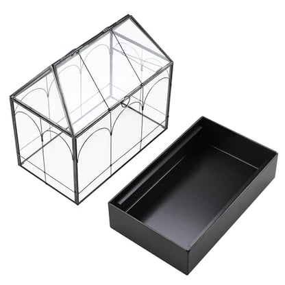 HighFree Large Glass Terrarium with Metal Tray, Glass Greenhouse Terrarium, Succulent Terrarium Kit for Succulents, Cacti, Snails, Spiders, and Miniature Reptiles, Black (Velvet Bottom)