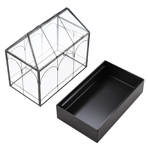 HighFree Glass Terrarium with Metal Tray, Glass Greenhouse Terrarium Kit for Succulents, Cacti, Snails, Spiders, and Miniature Reptiles, Black (Large-9.45" L x 5.7" W x 11.8" H) - size: Large-9.45"L x 5.7"W x 11.8"H