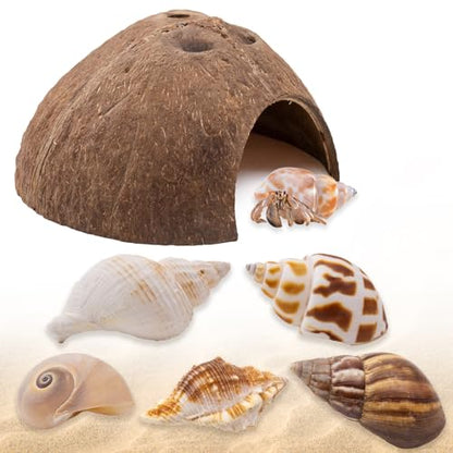 Hermit Crab Shells 1 Coconut Shell Hut 5 PCS Hermit Crab Seashells Accessories Decorations Enrichment Hut for House Hermit Crab Tank Hide Reptile Hideout