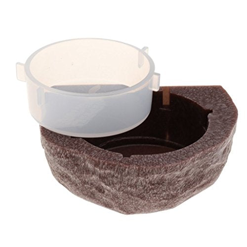 Magnetic Reptile Food Water Bowl Terrarium Reptile Feeder Feeding Dish for Gecko, Lizard, Turtle (Brown) - color: Brown