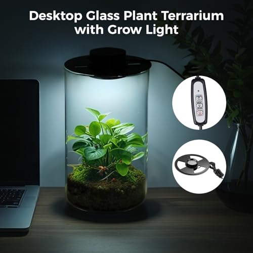 Desktop Glass Plant Terrarium with Grow Light 10 X 6IN - Planter for Succulent Moss Miniature Gardening Landscape, Fish Tank Indoor Plant Growth Office Home Decoration Plant Lovers Gifts
