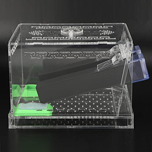 Cricket Keeper with Tubes, High Transparency Acrylic Material Cricket Keeper for Office for Home(L)
