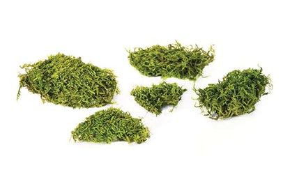 SuperMoss (22162) Feather Moss | Natural Green Moss Sheets for Crafts, Fairy Garden Decor, Wedding Table Runners, Reptile Tank Accessories, and Indoor Plant Soil Cover, 120 cu. in., Fresh Green - size: 120 cu. in.