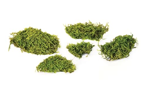 SuperMoss (22163) Feather Moss | Natural Green Moss Sheets for Crafts, Fairy Garden Decor, Wedding Table Runners, Reptile Tank Accessories, and Indoor Plant Soil Cover, 175 cu. in., Fresh Green - size: 175 cu. in.