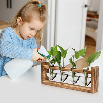 Plant Propagation Stations Heart Plant Terrarium Kit Gift for Women Plant Lover Glass Vases - color: Gray