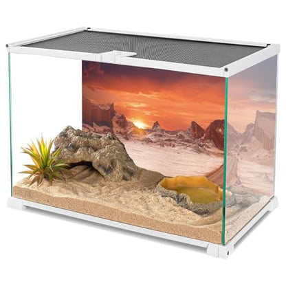 AWERT 24x16 inches Sun and Desert Terrarium Background Orange Reptile Habitat Background Durable Polyester Background - size: 24x16in/60x40cm