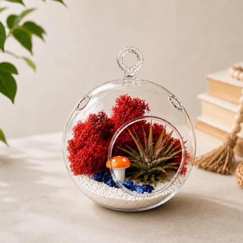 Creations by Nathalie - DIY Terrarium Kit with Live Air Plant (Local & Fresh from Florida), Reindeer Moss, Figurine, Healing Crystal Chips and Sand - Handmade in USA (4" Glass Globe) - color: 4" Glass Globe