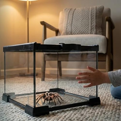 Small Glass Reptile Enclosure,8x8x6 Tarantula Enclosure with Lockable Sliding Screen Top - Full View Insects Breeding Box Small Amphibians Cage for Leopard Gecko, Frog, Hermit Crab, Isopods - color: Glass, size: 8x8x6
