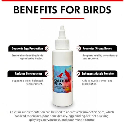 Morning Bird Calcium Plus Liquid for Birds – Calcium Supplement with Vitamins and Minerals for Strong Eggshells, Healthy Bones - Support Growth, Breeding, and Wellness for All Birds 4 Fl Oz - size: 4 Fl Oz