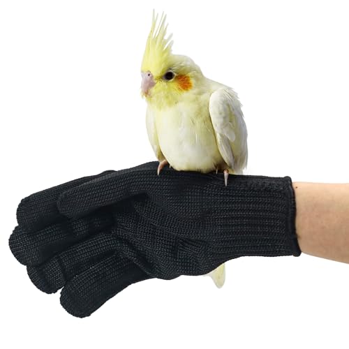 Bird Training Anti-Bite Gloves, Level 5 Protection, Parrot Chewing Working Safety Protective Gloves for Cockatiels - color: 2 Pairs