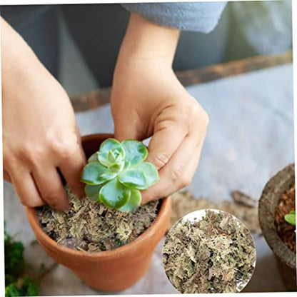 Sphagnum Moss Dried Spagnum Dry Moss for Reptiles Bedding and Terrarium Pet Supplies Sphagnum Moss for Plants Sphagnum Moss for Reptiles 150g