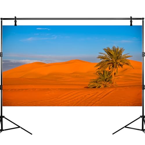 Desert Reptile Tank Background Majestic Sunset Desert Landscape Terrarium Background Desert Palm Tree Sand Dunes Reptile Habitat Background Sunrise Sahara Desert Aquarium Fish Tank Background 30x18in - size: 30(W)x18(H)inches/ 75(W)*45cm(H)