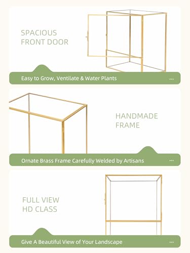 REDHUGO Glass Planter Terrariums with Door, Glass Terrarium Glass Greenhouse, Geometric Plants Terrariums Planter for Moss, Succulent, Indoor Tabletop Centerpiece, Rectangle, Gold (Terrarium ONLY) - color: Gold