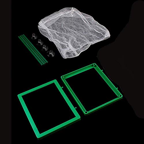 COMOK Fish Hatchery Breeder Box Aquarium Separation Net Nylon Incubator Mesh Fish Breeding Tanks Isolation Box Green Square - color: Green Square
