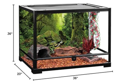 AWERT Tropical Forest Terrarium Background Stream Green Huge Tree Reptile Habitat Background Foggy Rainforest Aquarium Background 36x20 inches Durable Polyester Background - size: 36 x 20 inches