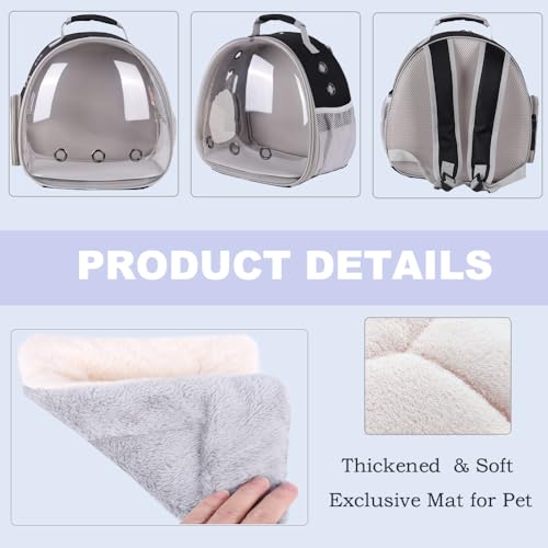 Portable Small Animal Backpack Travel Breathable Pet Carrier Bag Cages for Guinea Pig, Rabbit, Bearded Dragon, Squirrel, Tortoise, Bird, Lizard, Sugar Glider - color: Black