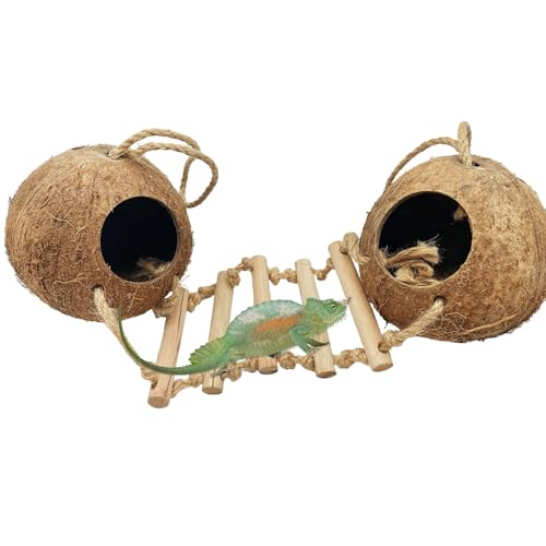 Gecko Coconut Shell Hut Reptile Hideout Home Nesting House Natural Habitat Decor with Hanging Wooden Ladder for Lizard Gecko Hermit Crab