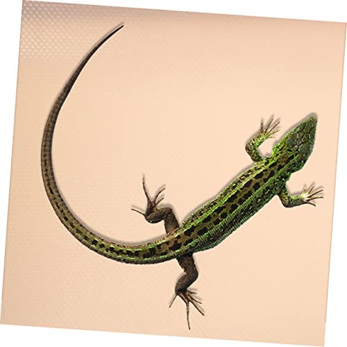 Eva Reptile Carpet Reptile Mat Washable Substrate for Tortoise Lizard Snake Bearded Dragon Terrarium Liner Easy Clean - color: Beige