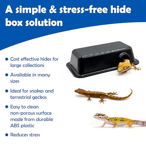 Pangea Reptile Hide Box, A - Mini 5.5"x3"x1.5" | Fits Standard Shoe Case Rack Units, Usable as Snake Tank Accessories, Good for Hatchling Ball Python, Boa, Baby Leopard Gecko - size: A- Mini