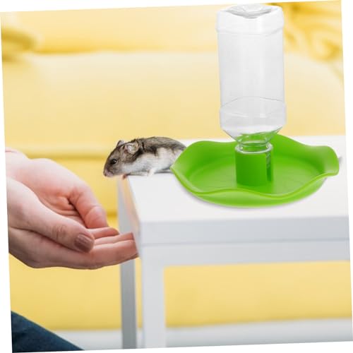 Pet Fountain Water Bowl Reptile Food Tray Automatic Feeder Plastic Easy to Lizard Tortoise Multi-Purpose Stand