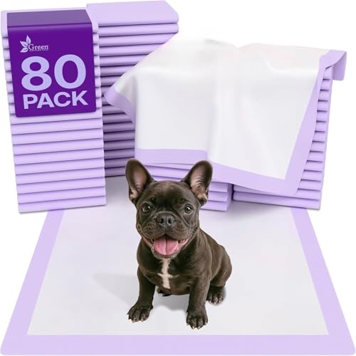GREEN LIFESTYLE Pee Pads - Super Absorbent & Leak-Proof Pee Pads for Dogs - Puppy Pads - Waterproof Dog Pads, Dog Training Pads for Cats, Rabbits (Pack of 80 - 22x22) - color: Purple, size: 80 Pack - 22x22