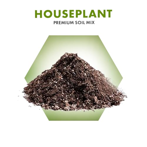 Premium Houseplant Soil Mix for Indoor & Outdoor Plants - Potting Soil for Monstera, Pothos, Snake Plants - Organic Blend for Growth -Potting Soil Indoor Plants Indoor Plant Soil - 4 Quarts - style: House Plant Soil Mix