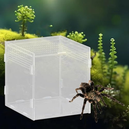 Reptile Breeding Box Terrarium Clear Animal Habitat Cage with Ventilation Holes for Geckos Frogs Hermit Crabs- 10x10x10cm - size: 10x10x10cm